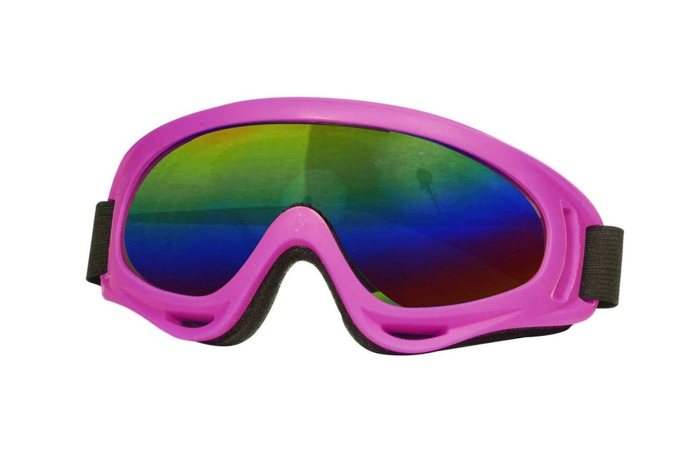 Roze Skibril van Wilbers & Wilbers koop je bij Partywinkel