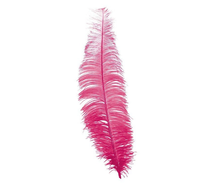 Roze Struisvogelveren 40cm 12st van Fiestas Guirca koop je bij Partywinkel