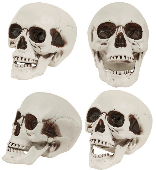 SCHEDEL MET BEWEEGBARE KAAK 28 CM van Widmann koop je bij Partywinkel