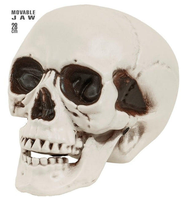 SCHEDEL MET BEWEEGBARE KAAK 28 CM van Widmann koop je bij Partywinkel