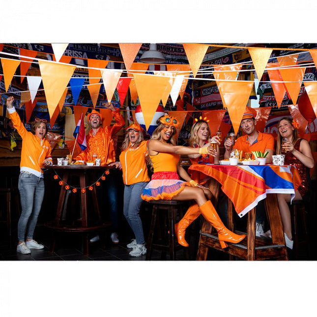 Schminkstift Nederland van Boland koop je bij Partywinkel