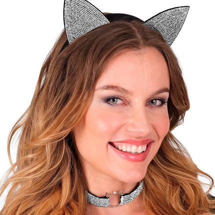SET KAT van Widmann koop je bij Partywinkel