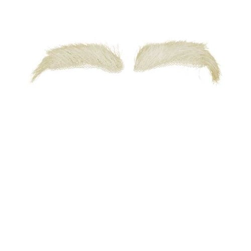 Sinterklaas Wenkbrauwen Kanekalon van Haza Witbaard koop je bij Partywinkel