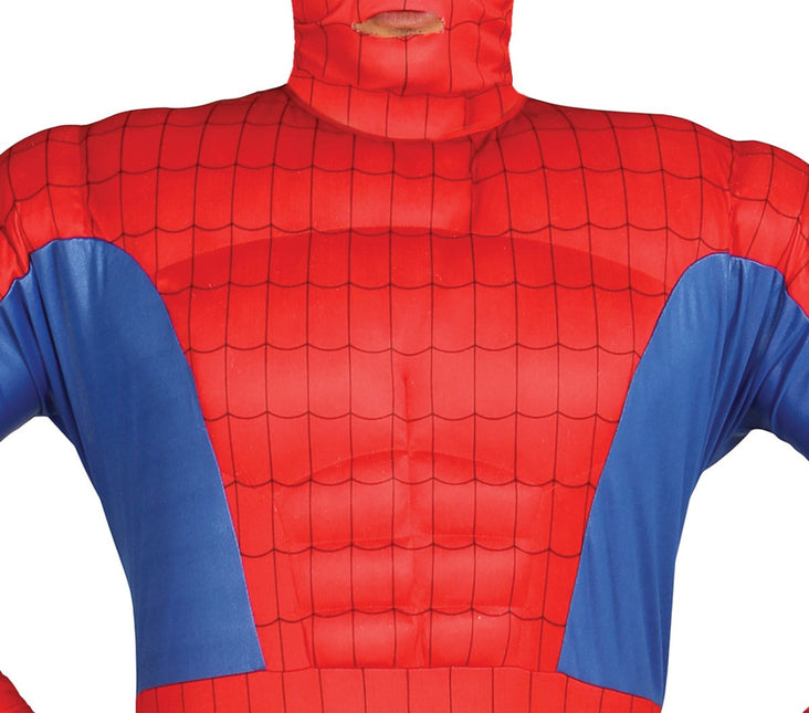 Spiderman Kostuum van Fiestas Guirca koop je bij Partywinkel