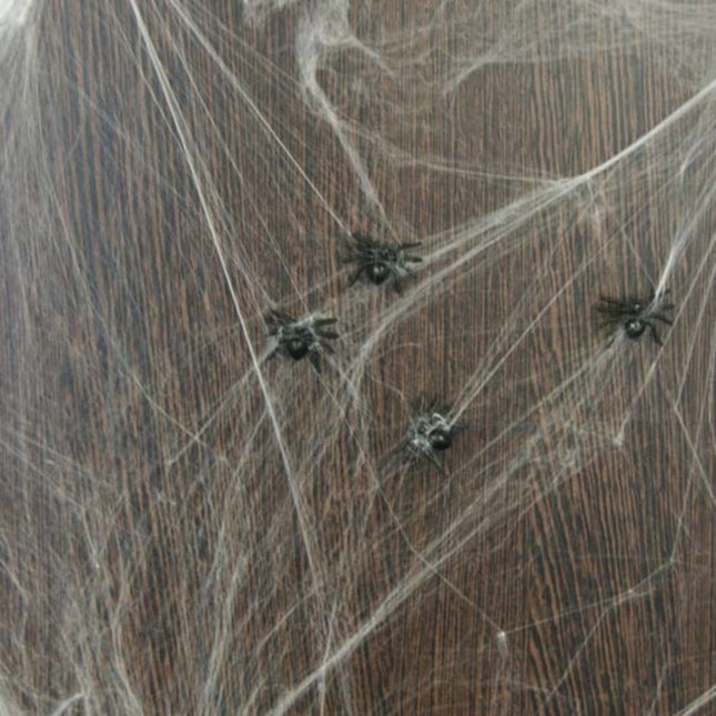 Spinnenweb met 6 Spinnen 20gr van Folat koop je bij Partywinkel
