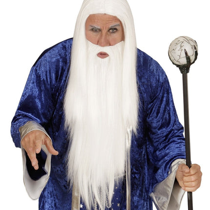 Tovenaar Pruik Met Baard van Widmann koop je bij Partywinkel