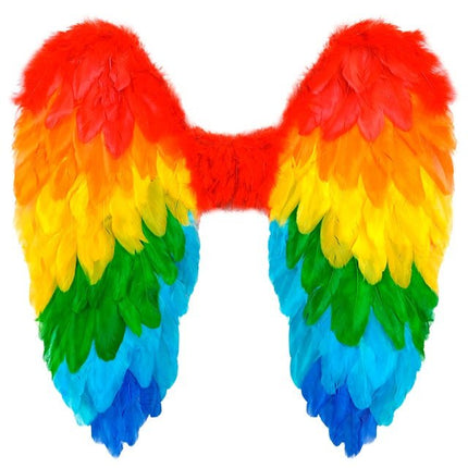 VEREN VLEUGELS REGENBOOG OPVOUWBAAR 50 X 50 CM van Widmann koop je bij Partywinkel