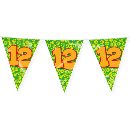 Vlaggenlijn 12 Jaar Gekleurd 10m van Paper Dreams koop je bij Partywinkel
