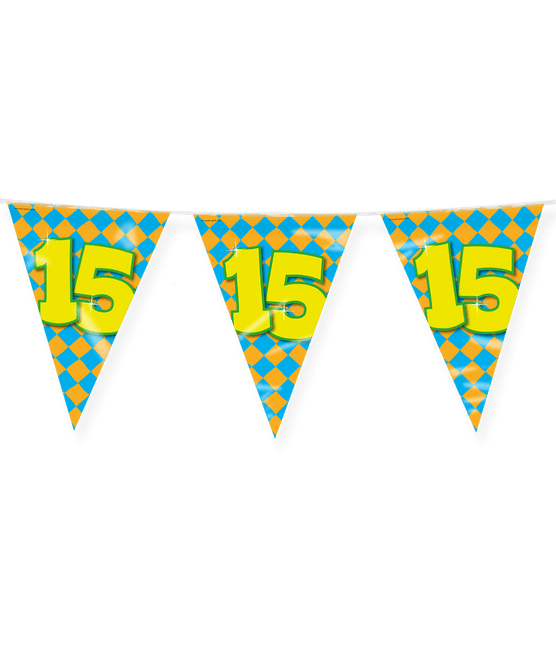 Vlaggenlijn 15 Jaar Gekleurd 10m van Paper Dreams koop je bij Partywinkel