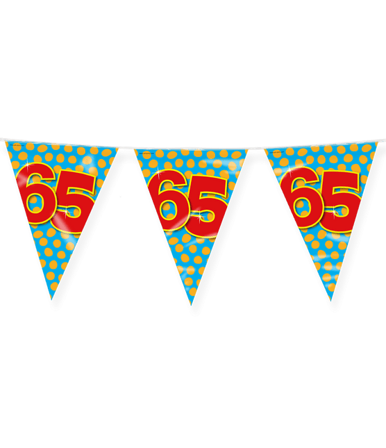 Vlaggenlijn 65 Jaar Gekleurd 10m van Paper Dreams koop je bij Partywinkel