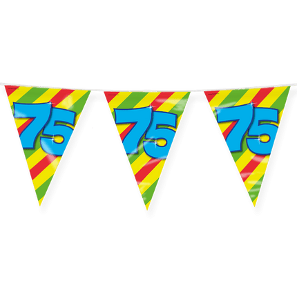 Vlaggenlijn 75 Jaar Gekleurd 10m van Paper Dreams koop je bij Partywinkel