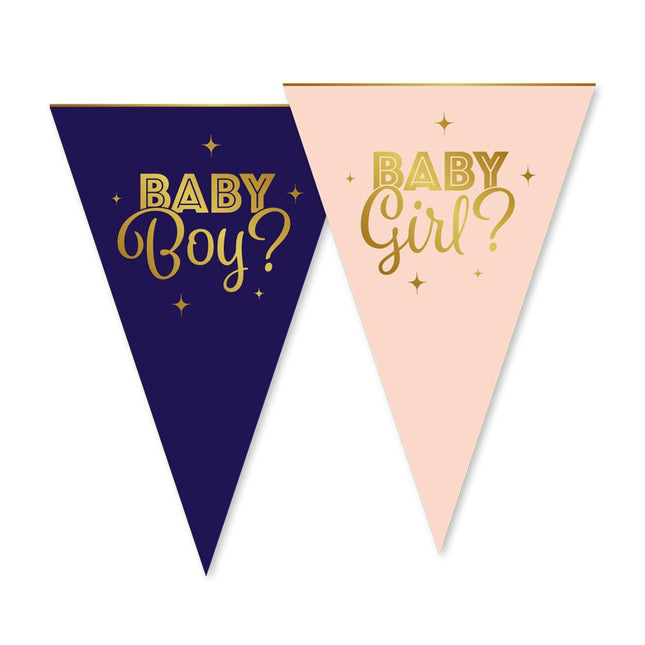 Vlaggetjes papier 6 m 20 x 30 cm - Geslachtsonthulling van WeFiesta koop je bij Partywinkel