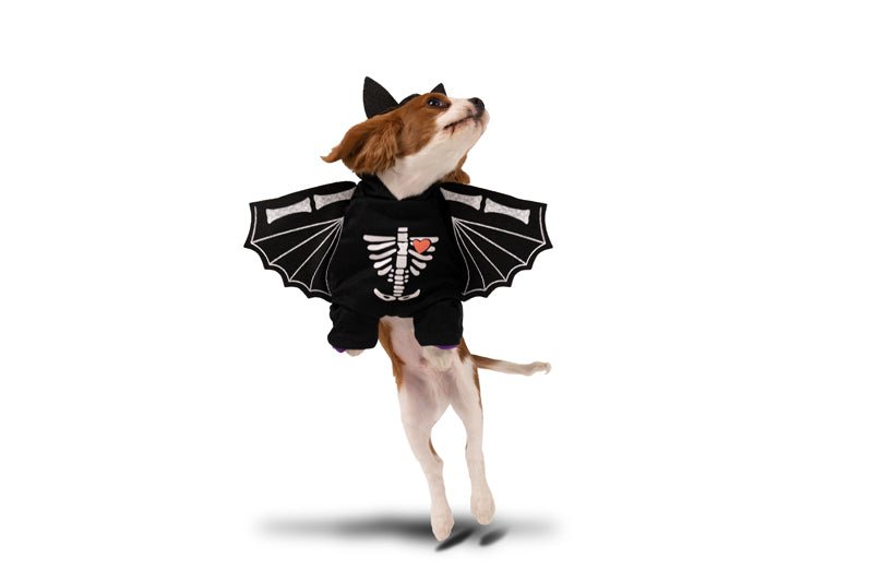 Vleermuis Kostuum Hond 45cm van Partydeco koop je bij Partywinkel