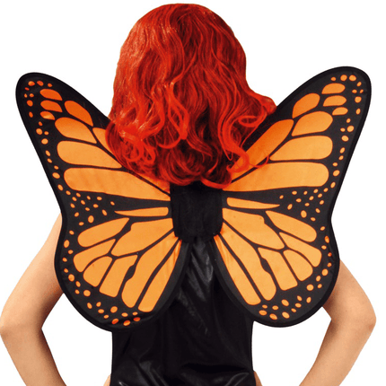 Vlindervleugels 57cm van Fiestas Guirca koop je bij Partywinkel