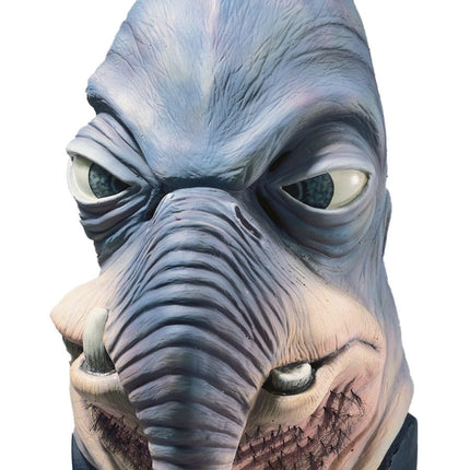 Watto Masker van Rubies koop je bij Partywinkel