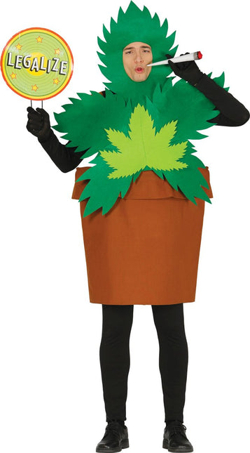 Wietplant Kostuum L van Fiestas Guirca koop je bij Partywinkel