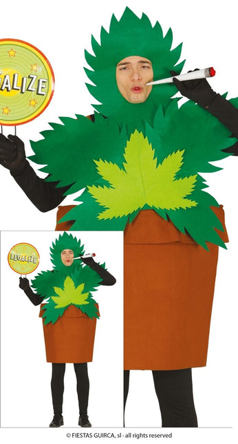 Wietplant Kostuum L van Fiestas Guirca koop je bij Partywinkel