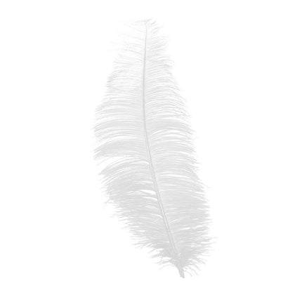 Witte Struisvogelveren 30cm 12st van Fiestas Guirca koop je bij Partywinkel