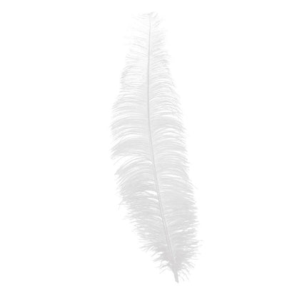 Witte Struisvogelveren 40cm 12st van Fiestas Guirca koop je bij Partywinkel