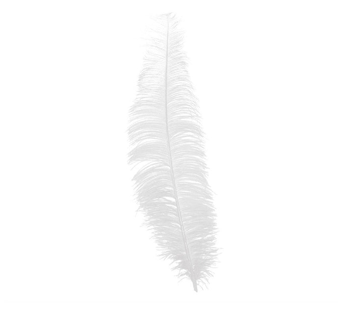 Witte Struisvogelveren 40cm 12st van Fiestas Guirca koop je bij Partywinkel
