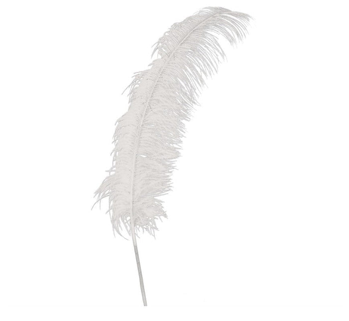 Witte Struisvogelveren 50cm 12st van Fiestas Guirca koop je bij Partywinkel