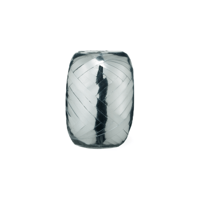 Zilver Lint Metallic 5mm 20m van WeFiesta koop je bij Partywinkel