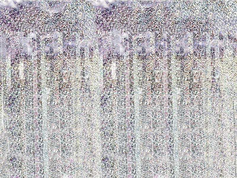 Zilveren Deurgordijn Holografisch 2,5m van Partydeco koop je bij Partywinkel