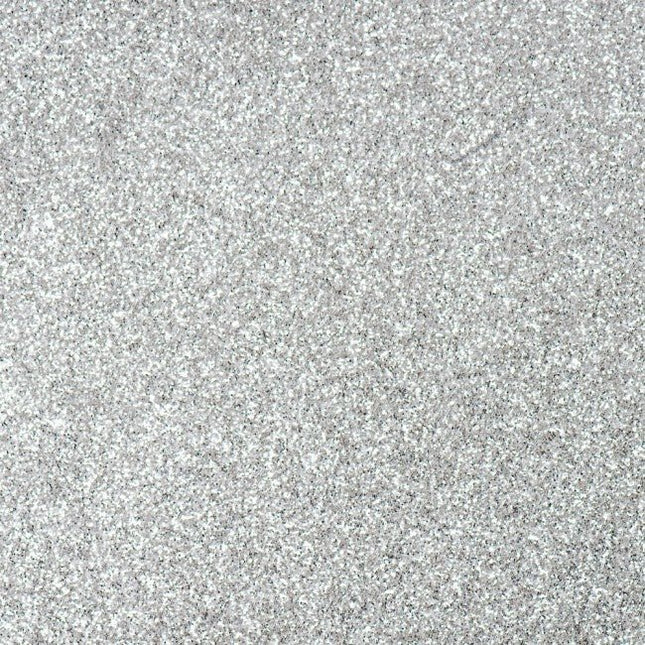 Zilveren Vlaggenlijn Glitter 6m van WeFiesta koop je bij Partywinkel