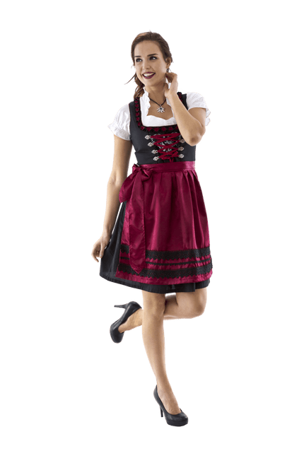 Zwart Rode Dirndl Jurk Oktoberfest Dames Bordeaux van Haus Huberts koop je bij Partywinkel